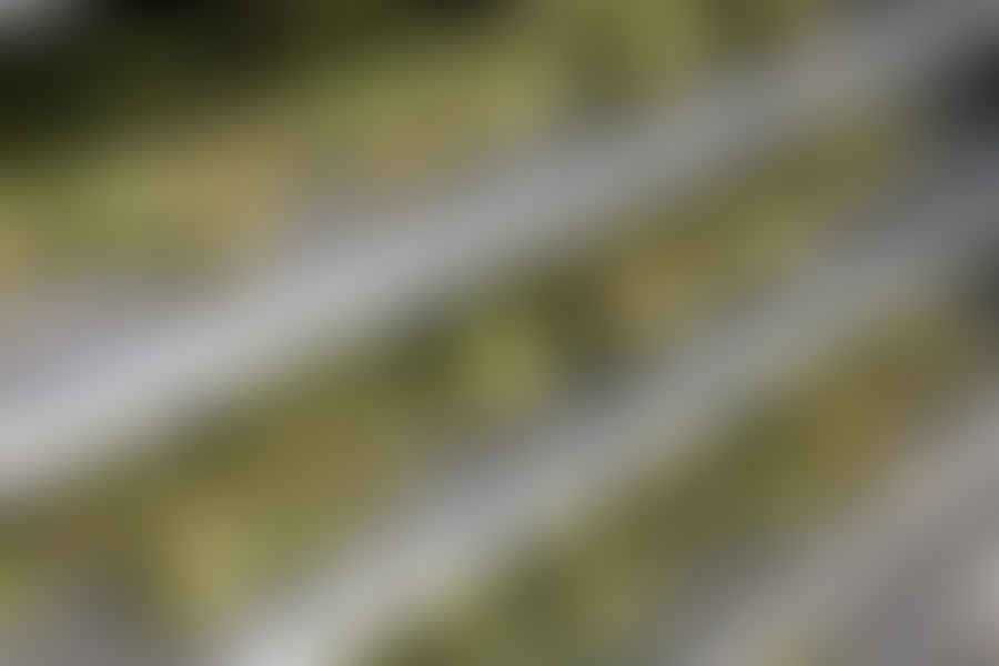 Obama administration medical marijuana policy
