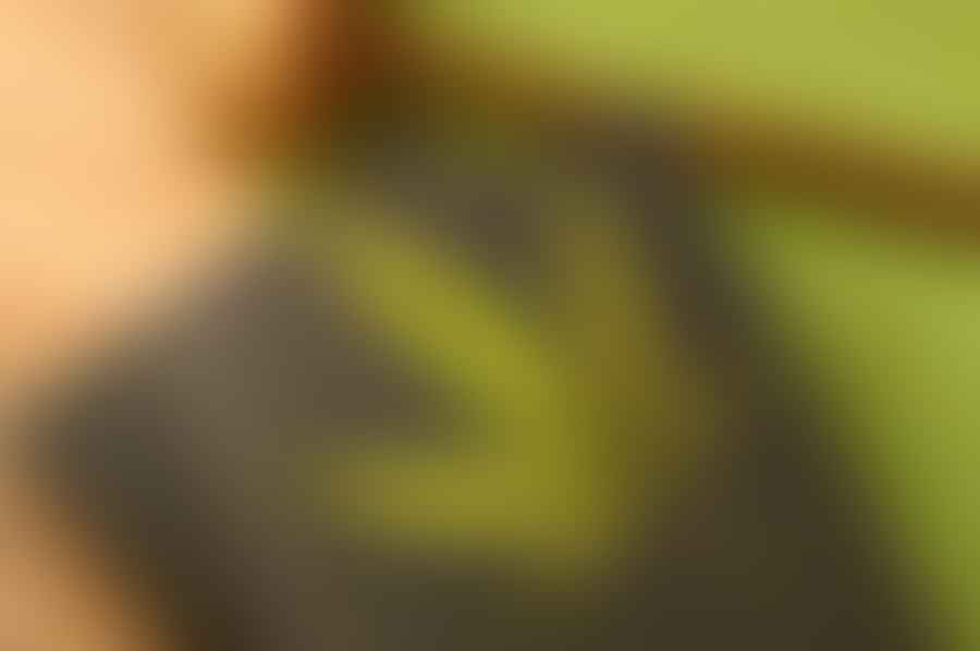 Cannabis business tips for entrepreneurs