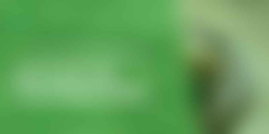 Uncovering Cannabis Laws - 🌿 Legalization explained