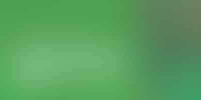 Cannabis Connect: Launch Your Social Network - 🌿 Grow Your Business