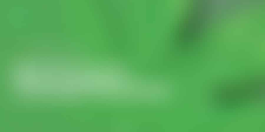Mastering the Cannabis Business - 🌿 Proven Tips
