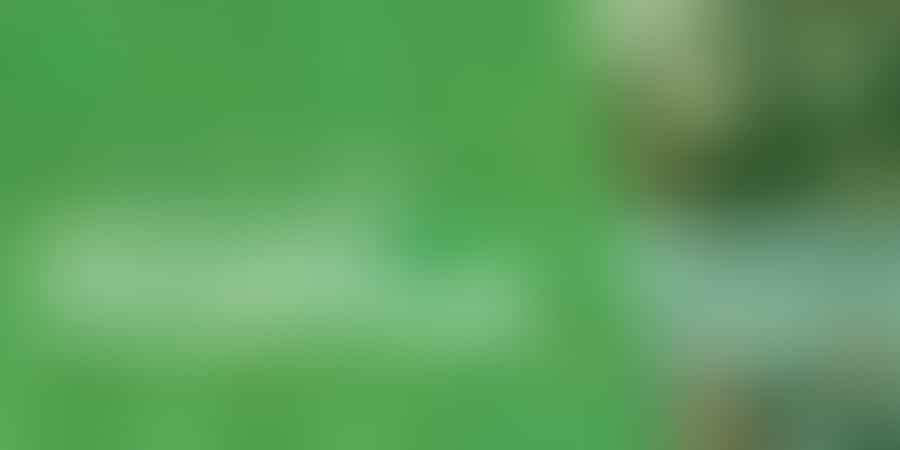 Unmissable Cannabis Events - 🌿 Mark Your Calendar