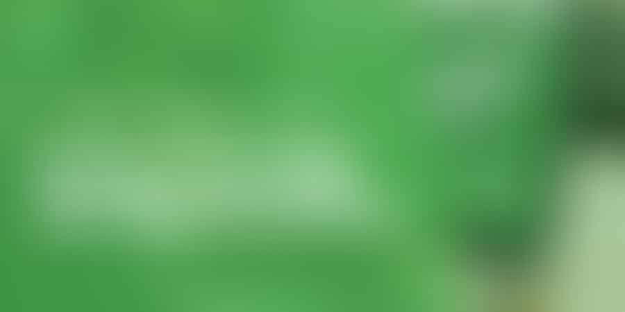 Unlock Cannabis Job Opportunities! - 🌿 Find Your Dream Job!