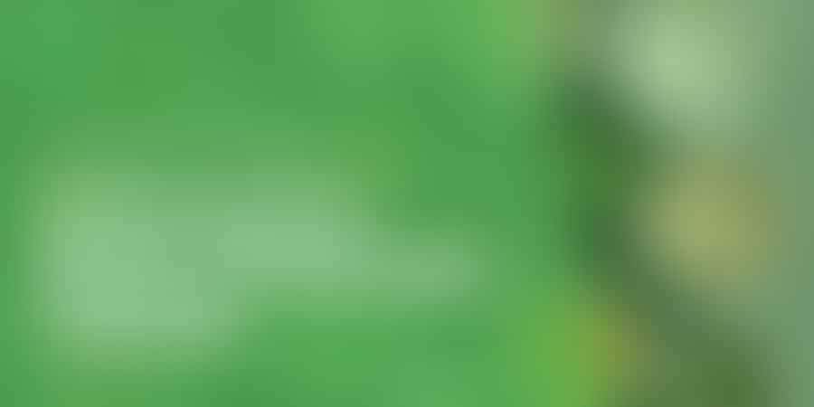 Unlocking the Power of Cannabis Topicals - Discover the Magic ✨
