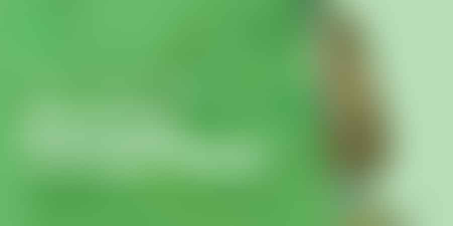 Mastering Cannabis Safety - Stay 🌿 Responsible
