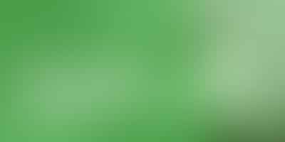 Illinois' Medical Cannabis: Risking FOID Card? - 🌿 Potential Consequences