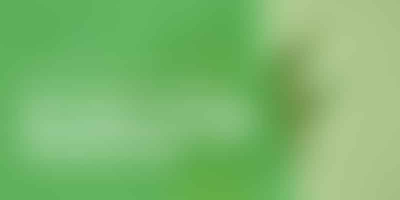 Your Guide to Getting Recreational Cannabis in Mississauga - Legal Weed in Mississauga 💡