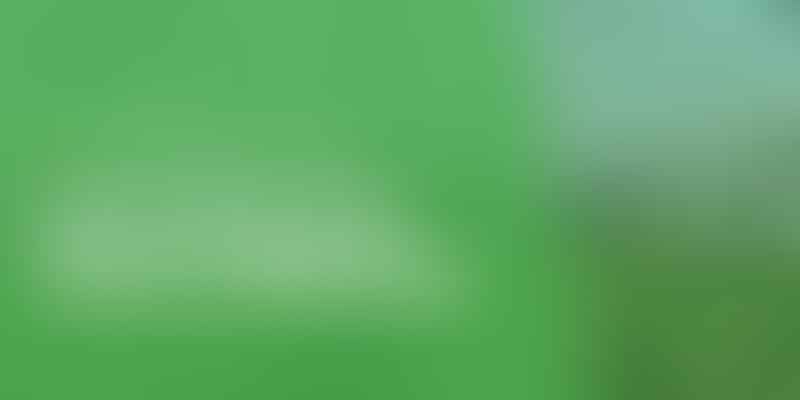 Unlocking the Green Goldmine - 🌿 Harvesting Profits