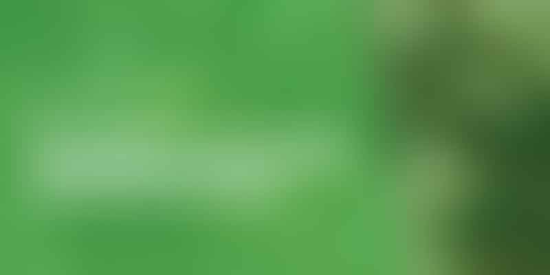 Canadian Cannabis: 2019 Booming? - High Times 💡