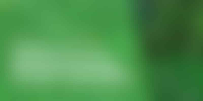 Unlocking Career Growth in Cannabis Controls Engineering - Elevate Your Career 💡