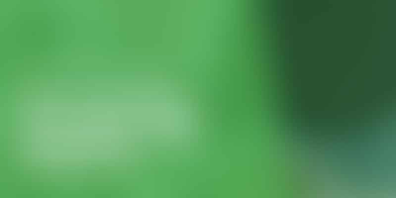 Pennsylvania's Cannabis Laws Explained - 🌿 Know Your Rights