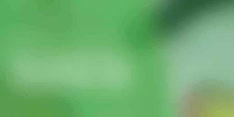 Decoding State Marijuana Laws - Know the 🌿 regulations