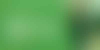 Marijuana Legalization: Weighing the Ups and Downs - Highs and Lows 💡