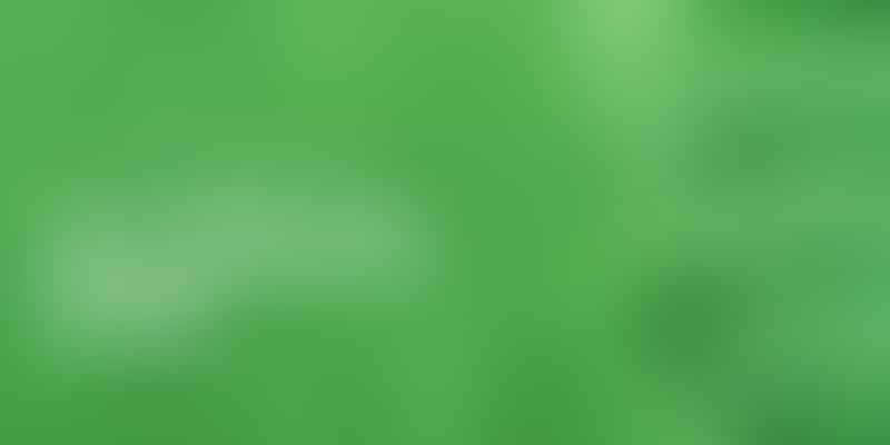 Unveiling the Surge - 🌿 Green Revolution