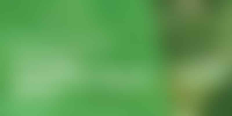 Cannabis Legalization Beyond the US - Global Green Wave 🌍