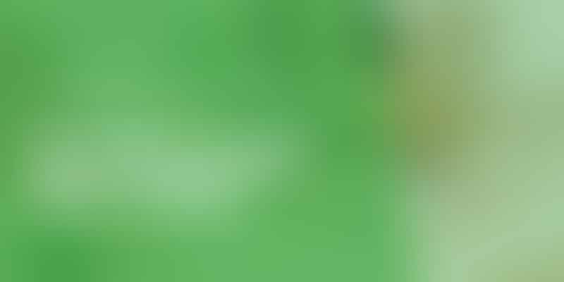 Unveiling High THC Levels - The Power of 🌿
