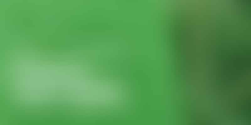 Marijuana Legalization in Texas: Updates - Texas 🌿: Current Status