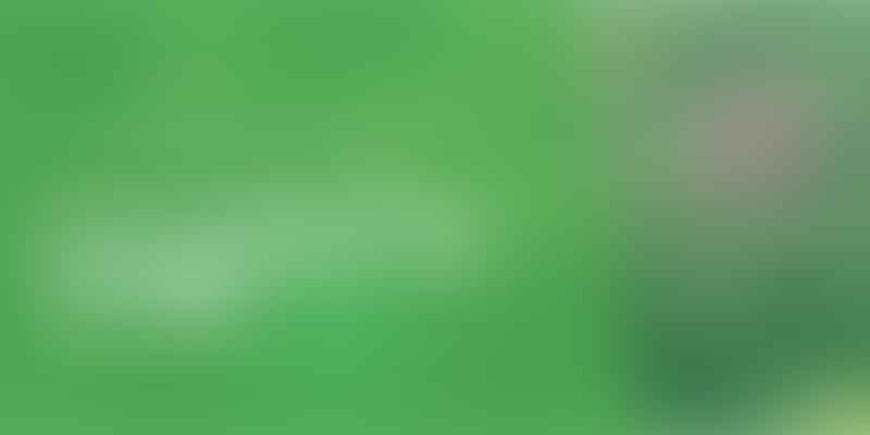 Unraveling THC vs CBD - 🌿 The Ultimate Guide