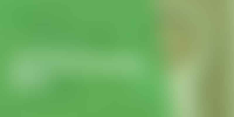 Find Your Perfect Dose - 🌿 Dosage Guide