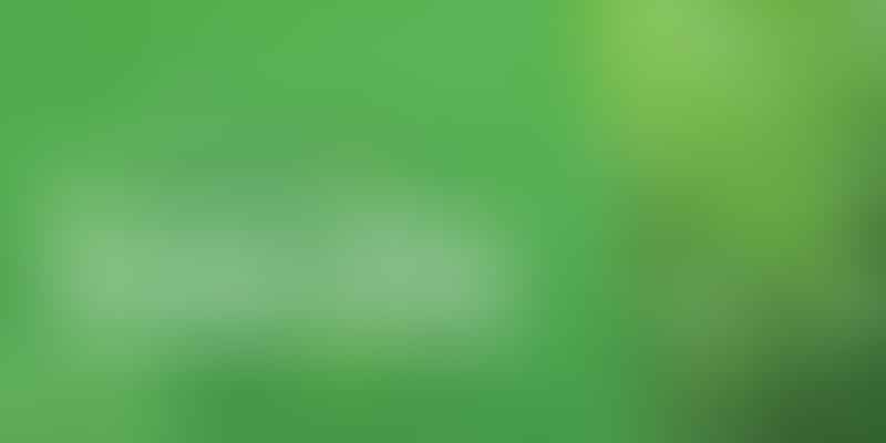 Discover Online Cannabis Shops - Buy Weed Online 💡