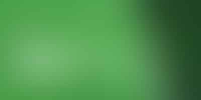 Unveiling the Opposition to Marijuana Legalization - 🚫 Unmasking Anti-Cannabis Sentiment