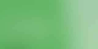 Calculate Your Cannabis Startup Costs - Plan Your Green Venture 💰