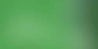 Launching Your Cannabis Business - Step-by-Step Guide