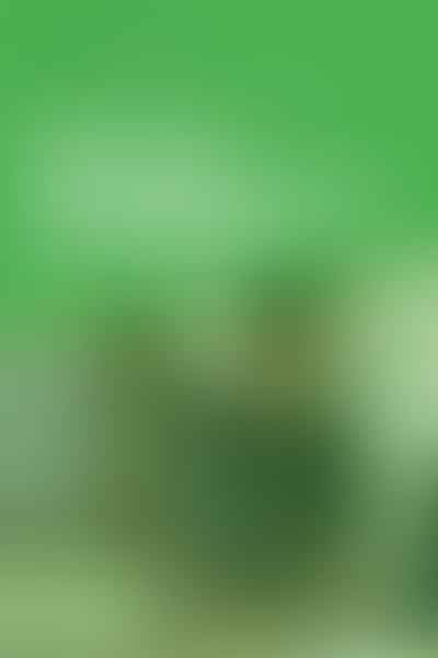 Navigating Cannabis Business in the Military - Military & Marijuana: Legal Insights