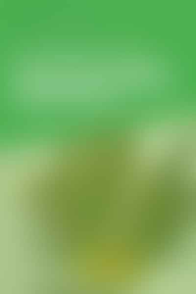 Your Guide to Getting Recreational Cannabis in Mississauga - Legal Weed in Mississauga 💡