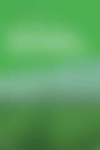 Unlocking the Green Goldmine - 🌿 Harvesting Profits