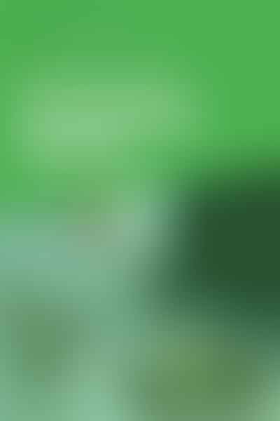 Pennsylvania's Cannabis Laws Explained - 🌿 Know Your Rights