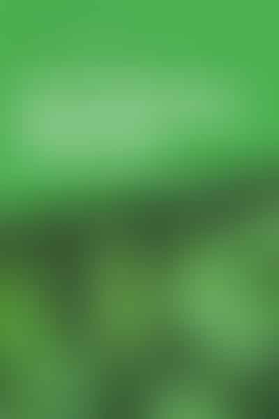 Unveiling the Potency - 🌿Health Superpowers