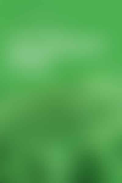 Unveiling the Surge - 🌿 Green Revolution