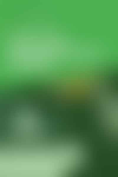 Unlock Your Cannabis Business Potential - 🌿 Start Strong