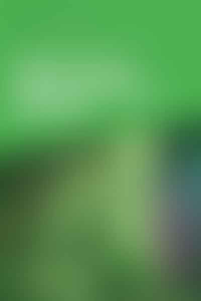 Unlocking the Ultimate Terpene Diversity - Discover the 🌿 Strain Secrets