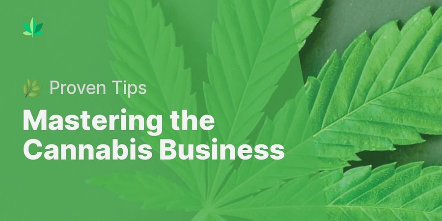 Mastering the Cannabis Business - πΏ Proven Tips