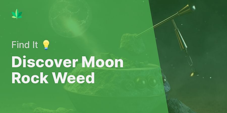 Discover Moon Rock Weed - Find It π‘
