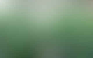How can I grow cannabis plants?