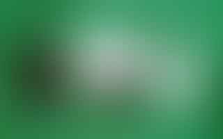 What are the best cannabis products for medical use?