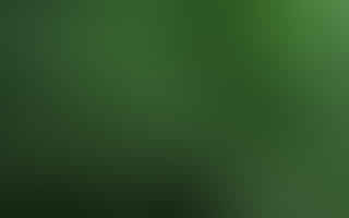 What are the different types of cannabis products?