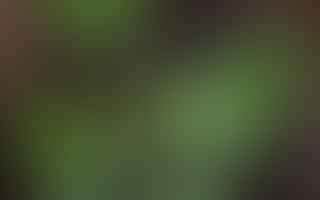 What are the health benefits of using marijuana?